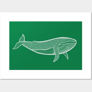 Humpback Whale - hand drawn marine animal design Posters and Art